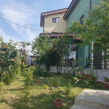 Vila Fara Nume ナボダリ エクステリア 写真